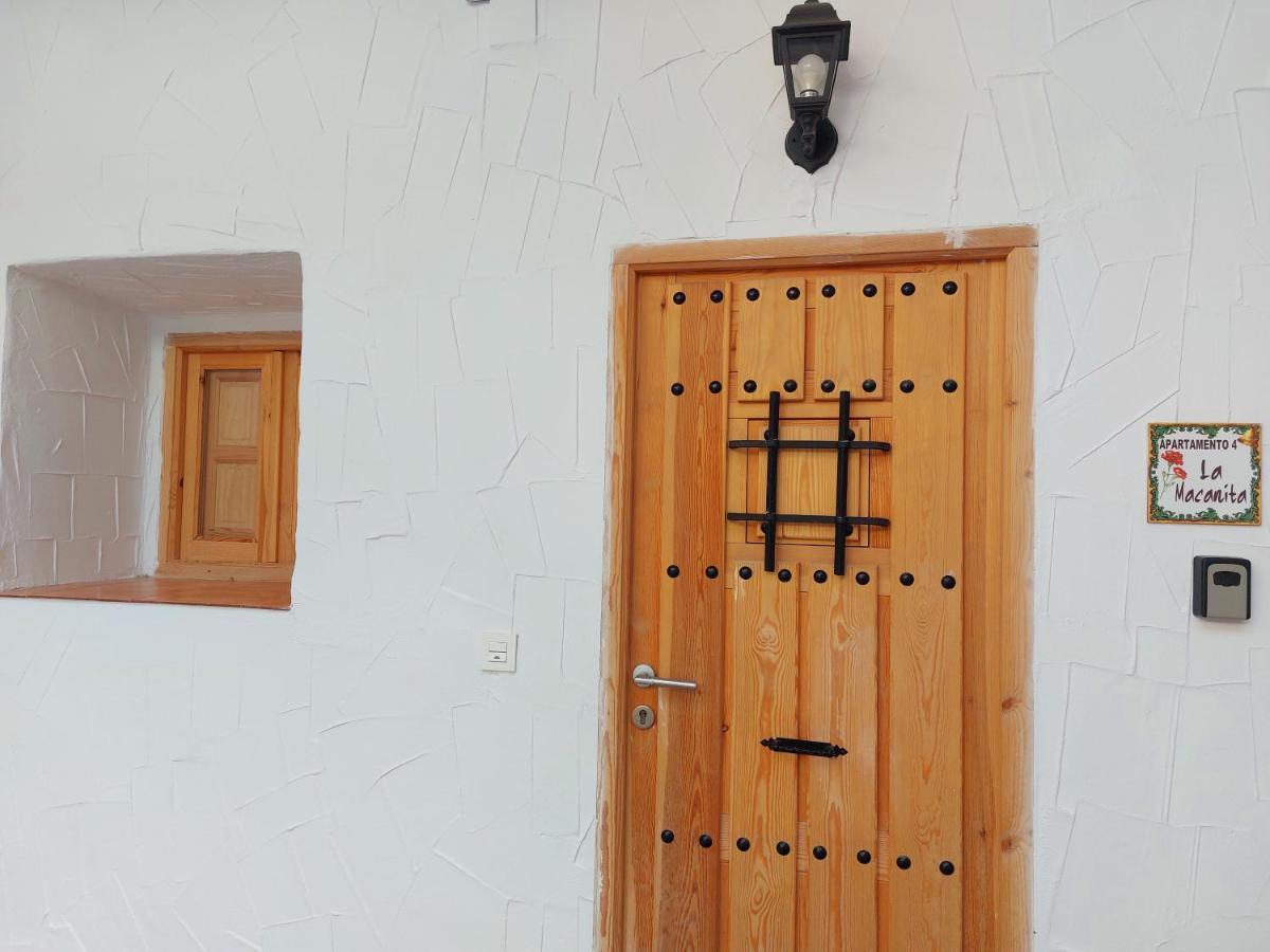 Apartamento Buleria Jerez de la Frontera Dış mekan fotoğraf